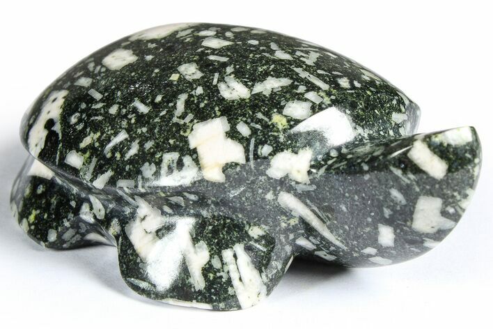 Polished Chinese Writing Rock Turtle - Alaska #366528